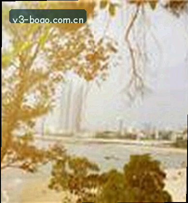 赵敏